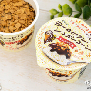 スプーンで食べる新感覚のヨーロピアンシュガーコーン！カップアイスが初登場『ヨーロピアンシュガーコーン ミニカップ』をおためし