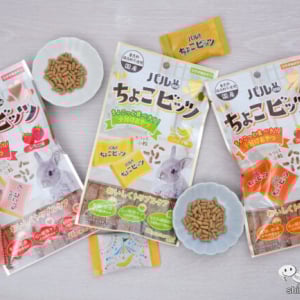 うさぎさんも飼い主さんも大満足！ 『パルワン ちょこビッツ』は健康とおいしさを追求した待望のうさぎ用おやつ