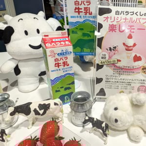 花言葉に泣いた。万博で『白バラ牛乳』に恋するなんて【大阪・関西万博 × 鳥取県】