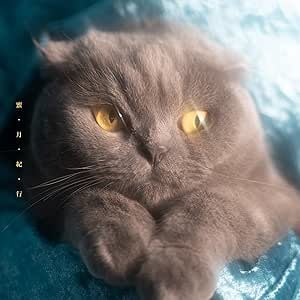 タイトルに「バカンス」が入っている曲５選