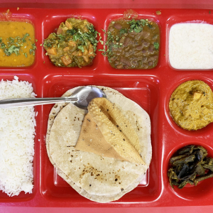 インドの山奥でファストフード的インドカレー屋に行ったよ