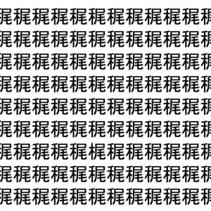 【脳トレ】「䅏」の中に紛れて1つ違う文字がある！？あなたは何秒で探し出せるかな？？【違う文字を探せ！】
