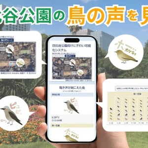 【東京都千代田区】鳥の声から種類と場所を可視化！「日比谷公園向けにぎわい可視化システム」に新機能