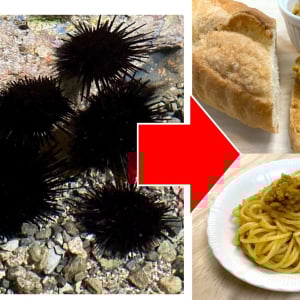 【美味しく食べて駆除】富山県の高校生が開発した害獣ウニのリエットがヤバすぎる →天才かよ