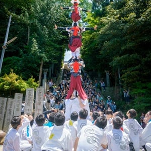 【愛媛県】今治地方春祭りで伝統芸能「継ぎ獅子」披露！天高く人が連なる迫力の演舞を鑑賞しよう