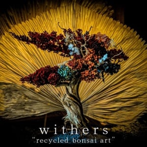 TAIZANが再生盆栽ブランド「WITHERS」をグループ化し究極のサステナブルアート事業をスタート！