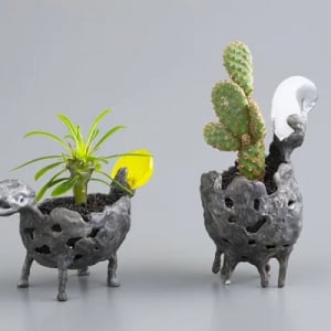 【大阪府大阪市】磊KOISHIで、細見博子さん展覧会「園芸部発表会-アートと植物の小さな出会い-」開催
