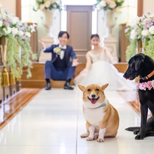 【神奈川県横浜市】「山手ヘレン記念教会」にてペットと一緒に参加できるブライダルフェア開催