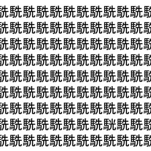 【脳トレ】「駪」の中に紛れて1つ違う文字がある！？あなたは何秒で探し出せるかな？？【違う文字を探せ！】