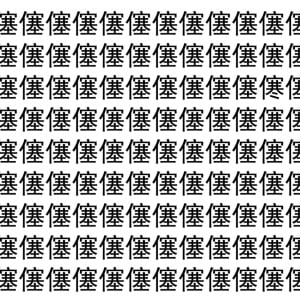 【脳トレ】「僿」の中に紛れて1つ違う文字がある！？あなたは何秒で探し出せるかな？？【違う文字を探せ！】
