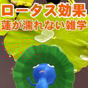 『ピクミン ブルーム』蓮の葉は絶対濡れない!! 不思議な効果を目の当たりにしたコミュニティディリポート【プレイログ#908】