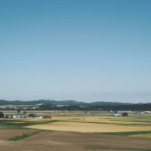 【北海道旧端野町(北見市)】黄金色の田んぼと落ち着いた暮らしと