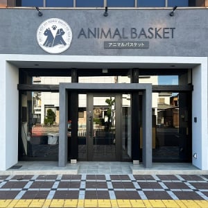 【徳島県徳島市】食事相談や試食ができる、犬と猫のためのごはん専門店「アニマルバスケット」OPEN！