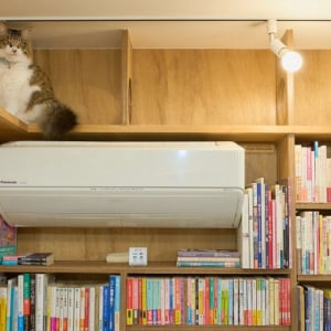 「猫の本屋」中古一戸建てをリノベし8坪の自宅兼店舗に。”猫店員”が迎える住宅街のサードプレイス、保護猫活動も　三軒茶屋「Cat’s Meow Books（キャッツミャウブックス）」