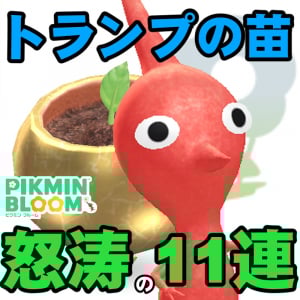 『ピクミン ブルーム』トランプの苗11連!! 自宅療養中のいま奇跡を起こしたいイベント進捗リポート【プレイログ#914】