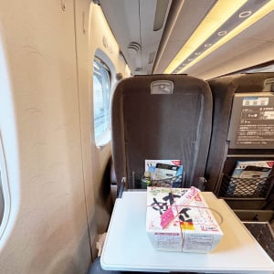 箕輪厚介さんが新幹線グリーン車に乗ろうとした結果→ 外国人スーツケース集団多すぎで乗れず→ その結果