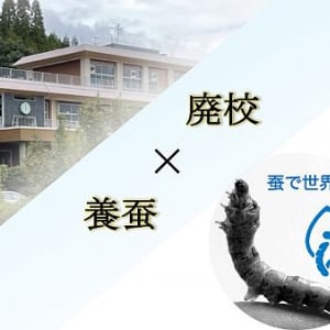 【熊本県あさぎり町】九州大学発ベンチャー、廃校を再活用して養蚕業！雇用創出＆地域活性化に取り組む試み