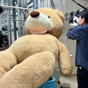 印象的だった依頼は？ ぬいぐるみ、スニーカー、ベビーカーまでクリーニングしてしまう山梨のクリーニング店