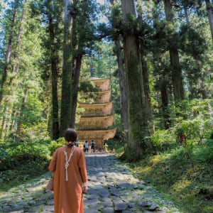 【山形県鶴岡市】身近な生まれかわりの旅として人気の、羽黒山「石段詣」巡礼者が1万人を突破！