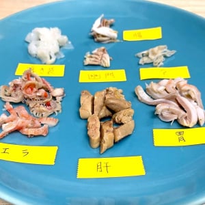 魚のエラや内臓をホルモン刺しにして食べるよー！ 捨てる部位だけど実は食べられるし、牛ホルモン並みに美味しいよ！