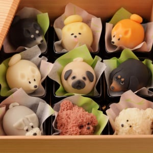 コロナ禍をきっかけに動物の和菓子を作る →SNSで可愛すぎると話題に →海外のワークショップにも招待