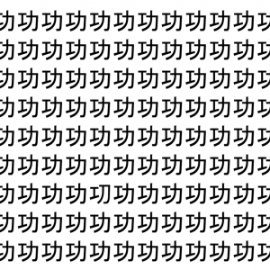 【脳トレ】「功」の中に紛れて1つ違う文字がある！？あなたは何秒で探し出せるかな？？【違う文字を探せ！】