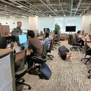 社員たちが真面目な話をしているその横で・・。犬吸いに夢中な社長の姿が話題に