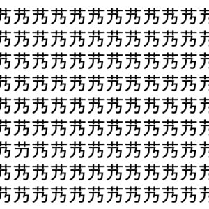 【脳トレ】「艿」の中に紛れて1つ違う文字がある！？あなたは何秒で探し出せるかな？？【違う文字を探せ！】