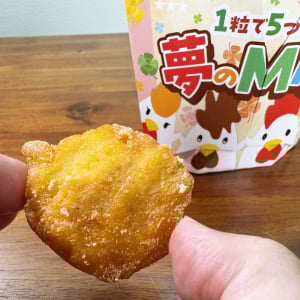 ローソンの「でからあげクン 夢のMIX味」うっめええええ!! たくさん食べようね