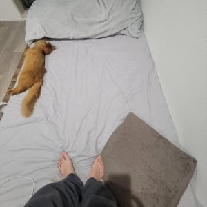 ネコが飼い主さんのベッドを占拠・・してない！スペースを空けるように端っこで横になる姿が話題に