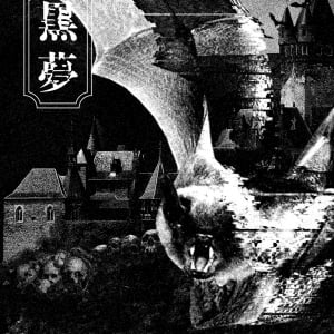 黒夢10年ぶりの復活ライブがBlu-rayになって8月リリース！ コラージュアーティスト・河村康輔がアートワークを手掛ける