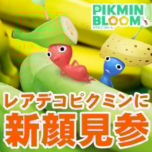 『ピクミン ブルーム』色違いバナナデコ実装!! スーパーマーケットに注目が集まる最新レアデコピクミンガイド【プレイログ#935】