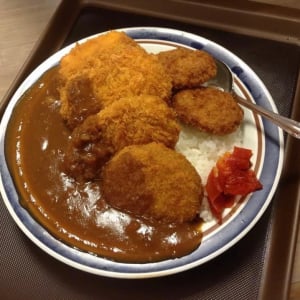 富士そばで「カレーライスの上に欲望のままに揚げ物をトッピング」するとどうなる？ 揚げ物のせまくり
