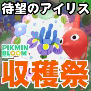 『ピクミン ブルーム』アイリス収穫祭!! あいにくの天気に翻弄されたコミュニティディリポート【プレイログ#937】