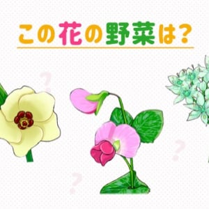 とうもろこしやニラなど、なかなか見られない珍しい野菜の花5選