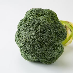 2026年からブロッコリーが指定野菜に！どんなメリットが？