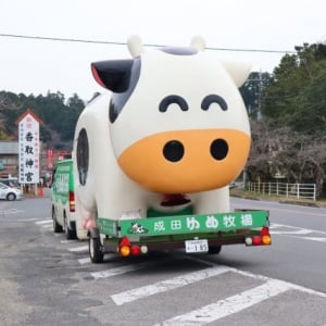 どこで会える？ SNSで度々話題になる成田ゆめ牧場の「ゆめこちゃんのキッチンカー」