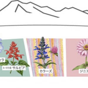 【長野県原村】八ヶ岳農業大学校が10ha100万株の広大な花畑「八ヶ岳ガーデンプロジェクト」オープン