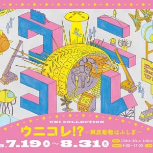 【東京都板橋区】区立教育科学館でウニの魅力満載の企画展「ウニコレ!? ～棘皮動物はふしぎ～」開催