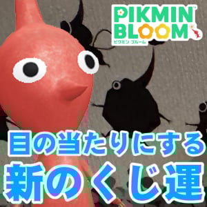 『ピクミン ブルーム』福岡から救援物資!! 地元じゃレア物だったピクミングミ1箱分を開封してみた【プレイログ#943】