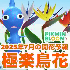『ピクミン ブルーム』来月は極楽鳥花!! 美しく咲き誇る2025年7月の開花予報ガイド【プレイログ#944】
