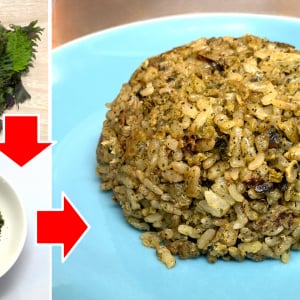 【大葉大量消費】ご飯のお供によし！ 野菜と和えてサラダにしてもよし！ 激ウマチャーハンにもなる万能大葉ふりかけの作り方【レシピ】