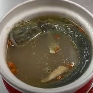 新鮮なナマズが一本そのまま尾頭付き「ナマズの煮込みスープ」