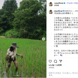 ローラ、ショーパン姿での草取り作業ショット公開！「素晴らしい活動」「ナチュラルで素敵」