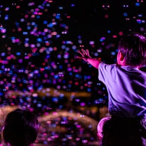 【東京都調布市】夜の「神代植物公園」で、シャボン玉と光のコラボ体験「バブルミネーション」を実施！