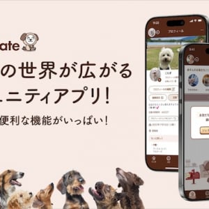 人と犬・犬と犬・人と人をつなぐ交流型アプリ「Dogmate」誕生！兄弟犬検索機能も
