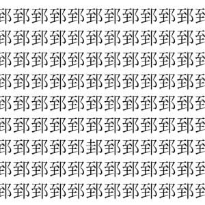【脳トレ】「郅」の中に紛れて1つ違う文字がある！？あなたは何秒で探し出せるかな？？【違う文字を探せ！】