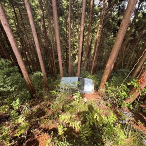 【動画】クルマに蜂が入ってくる→ ドライバー逃げる→ レバー「P」にせず→ 5メートル落下→ JAF来れず → 奇跡の生還