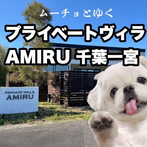 “何もしない贅沢”を、愛犬とともに心ゆくまで楽しむ――ムーチョとゆく「プライベートヴィラAMIRU 千葉一宮」