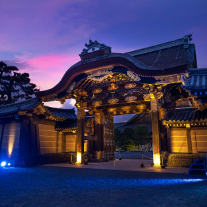 京都の世界遺産・二条城、夜間アートイベント「NAKED meets 二条城 2025 夕涼み」7月25日より開催！